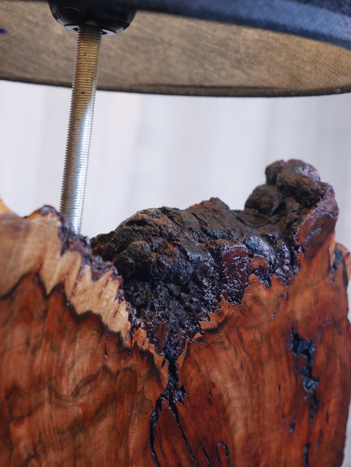 Heartwood