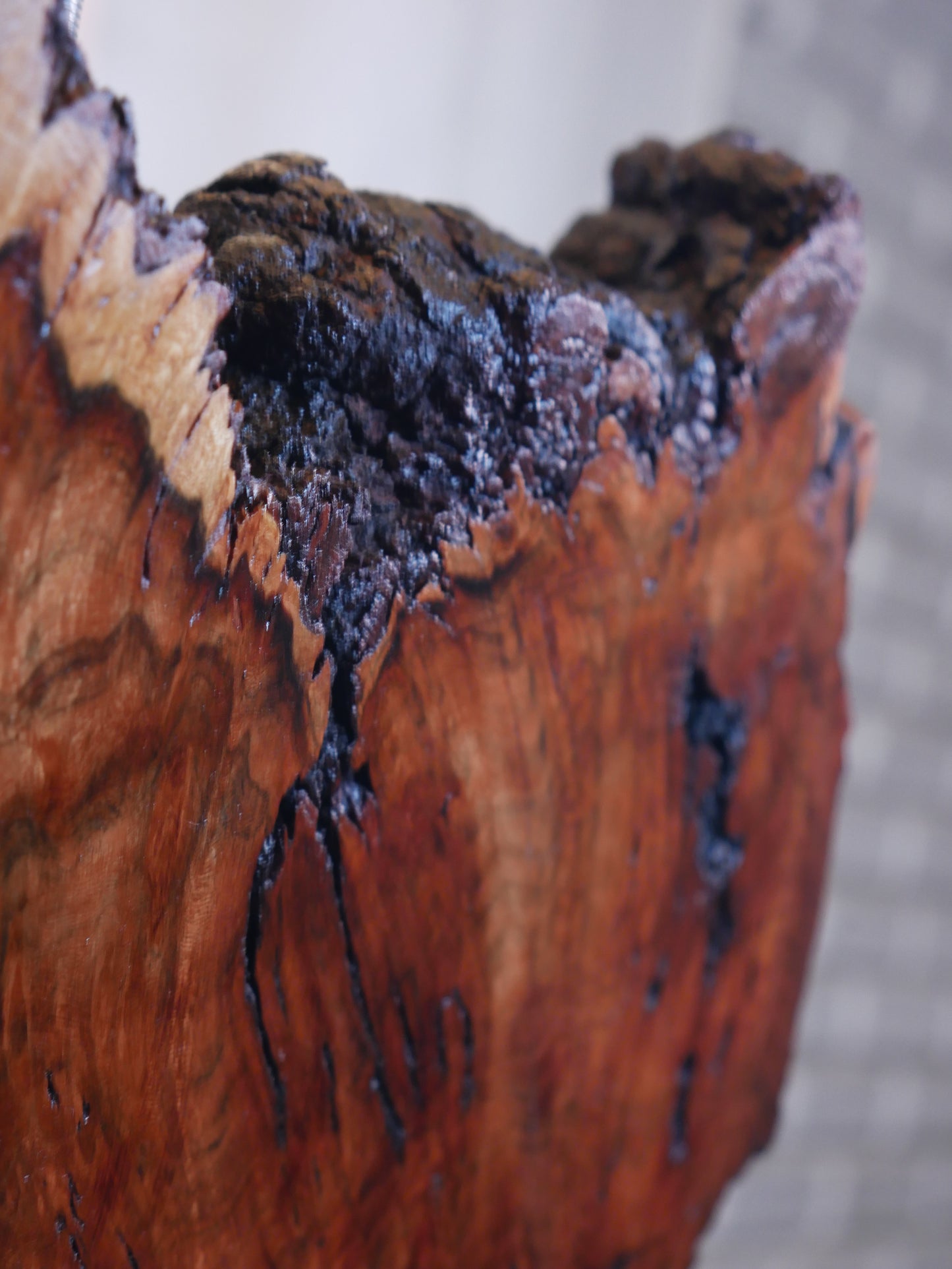 Heartwood
