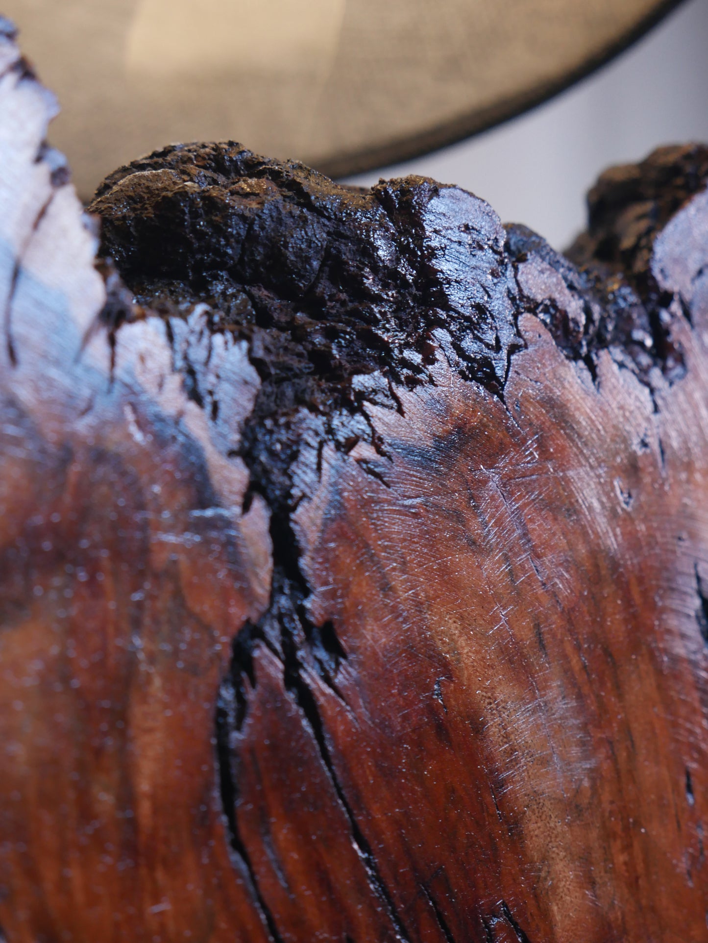 Heartwood