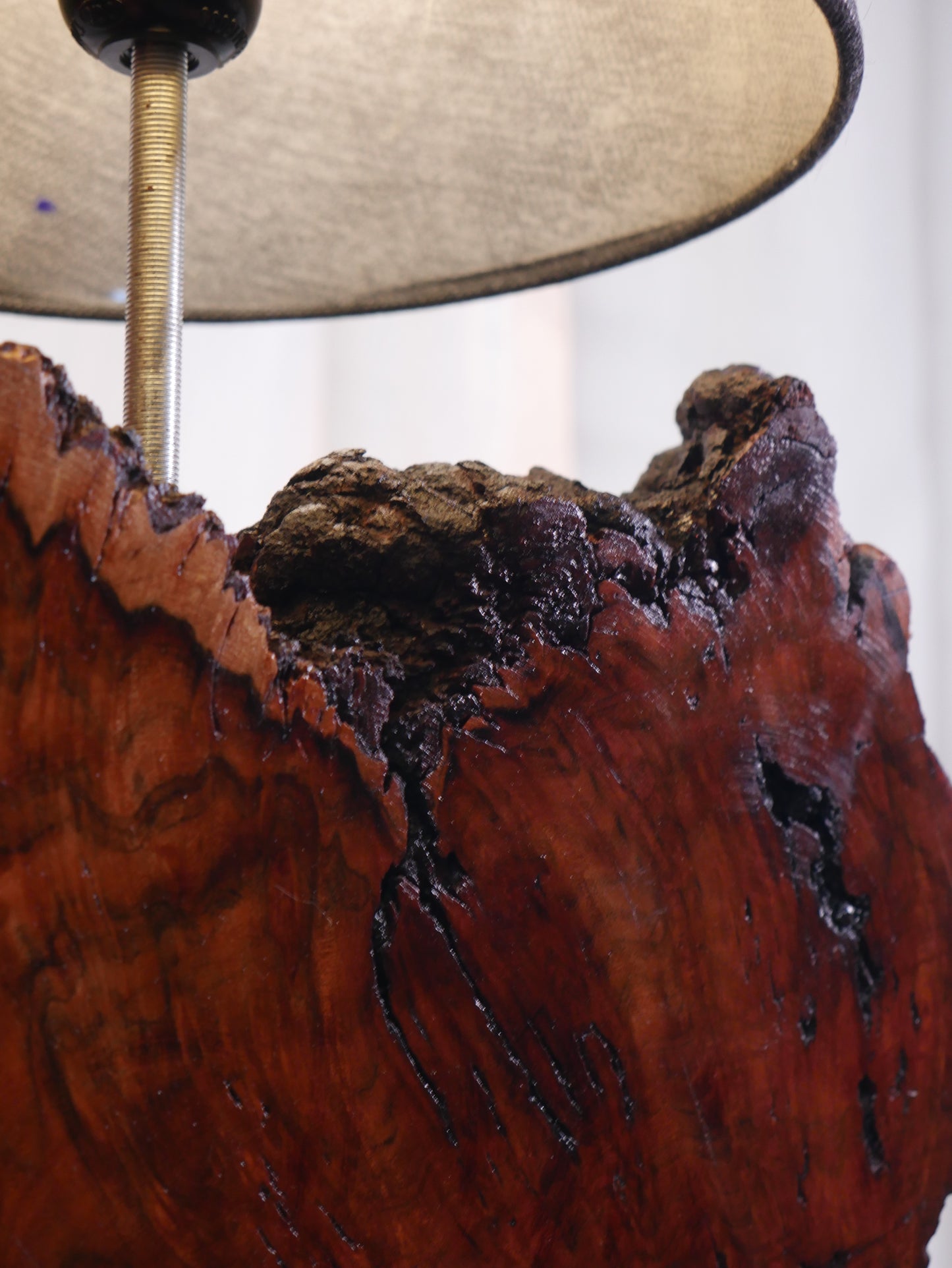 Heartwood